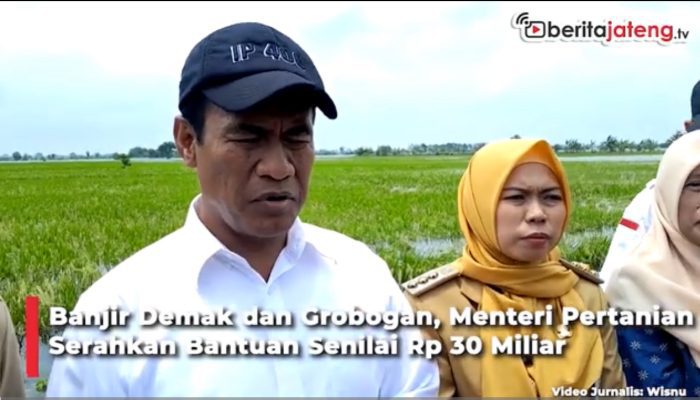Video Terobos Banjir Demak, Menteri Pertanian Beri Bantuan Rp 30 Miliar