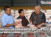 Video Harga Beras Mahal, Pemerintah Bakal Impor Meski Jelang Panen Raya