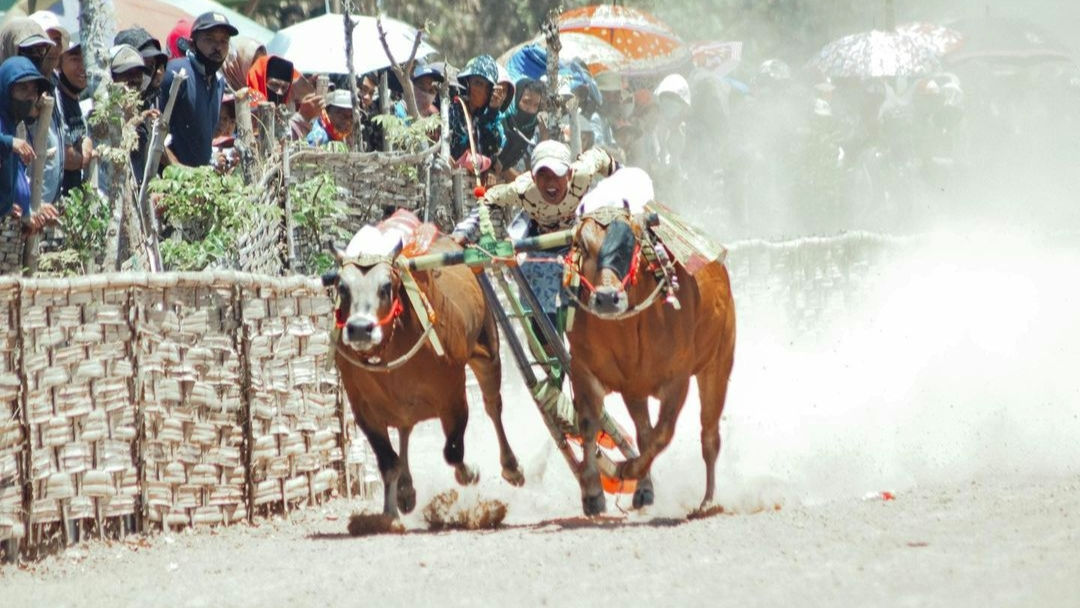 tradisi Madura