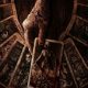 Film Tarot