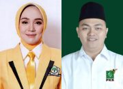 LIVE Real Count DPRD Dapil Jateng 11 Per 20 Februari 2024: Tietha Ernawati Melonjak Tinggi