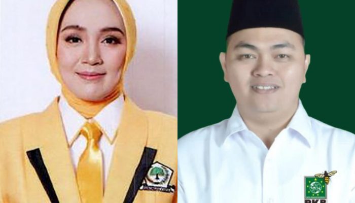 LIVE Real Count DPRD Dapil Jateng 11 Per 20 Februari 2024: Tietha Ernawati Melonjak Tinggi