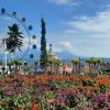wisata Jawa Tengah