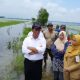 Beras Pompanisasi | Kementan Petani Banjir di Demak, Kudus dan Grobogan