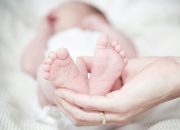 ilustrasi bayi