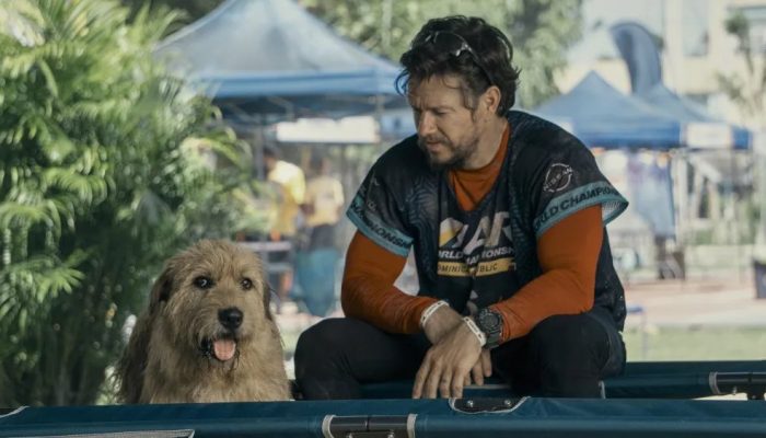 Adaptasi Kisah Nyata Persahabatan Manis Pria dan Anjing Liar, Ini Sinopsis film Arthur the King