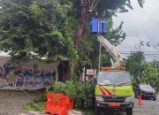 Banyak Pohon Tumbang Akibat Cuaca Ekstrem di Semarang, Disperkim Bentuk 5 Tim Siaga