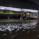 KAI Daop 4 Alihkan Pelayanan Penumpang di Stasiun Semarang Poncol Akibat Banjir