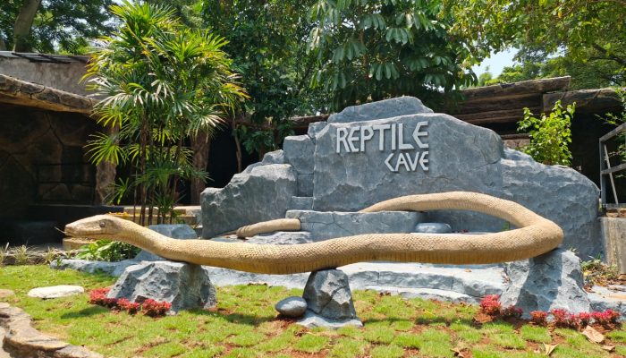 Ada Wahana Baru Reptile Cave di Semarang Zoo, Siap Sambut Momen Libur Lebaran