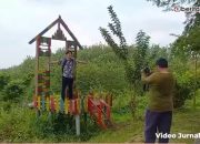 Video Sensasi Glamping dan Keindahan Alam Wisata Bukit Kunci Blora