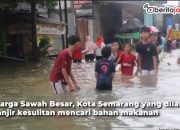 Video Tergenang Banjir Satu Meter, Warga Sawah Besar Semarang Kesulitan Cari Bahan Makanan