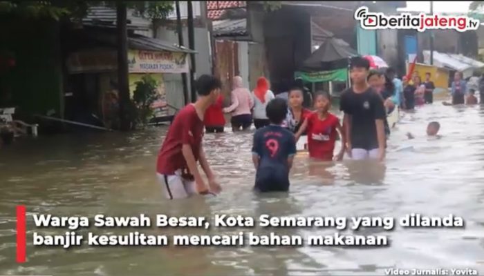 Video Tergenang Banjir Satu Meter, Warga Sawah Besar Semarang Kesulitan Cari Bahan Makanan