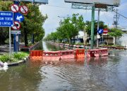 Dikepung Banjir, Akses Jalur Kota Demak Ditutup