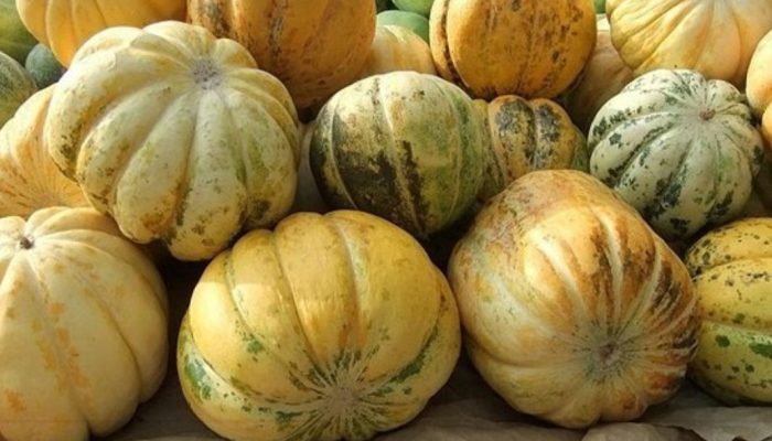 6 Manfaat Buah Blewah Bagi Tubuh, Auto Jadi Menu Buka Puasa Setiap Hari