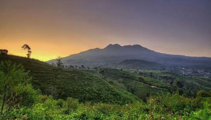 Daftar 3 Wisata Pegunungan yang Ada di Jawa Tengah, Pernah Mampir?