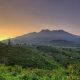 Daftar 3 Wisata Pegunungan yang Ada di Jawa Tengah, Pernah Mampir?