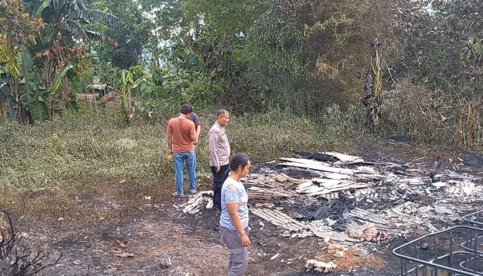 Fakta Baru! Kebakaran Penampungan Minyak Mentah di Blora Diduga Disengaja