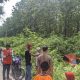 mobil nyungsep di hutan