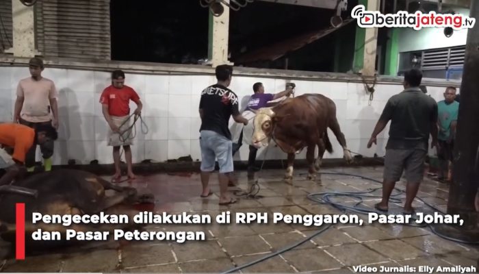 Video Dinas Pertanian Kota Semarang Cek Kualitas Daging di Pasar dan RPH