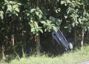 Minibus Terperosok di Hutan Blora Gegerkan Warga, Begini Kondisinya!