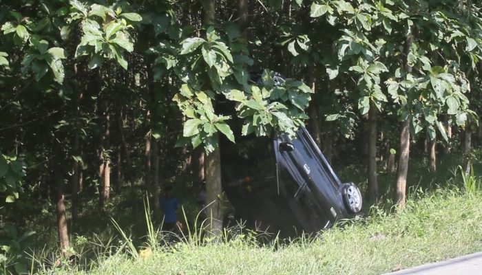 Minibus Terperosok di Hutan Blora Gegerkan Warga, Begini Kondisinya!
