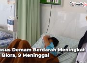 Video Kasus Demam Berdarah Melonjak di Blora, 9 Meninggal
