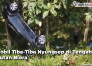 Video Mobil Tiba-Tiba Nyungsep di Tengah Hutan Blora