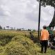Lahan Pertanian