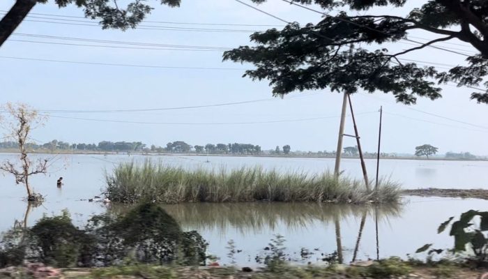 Seribu Hektare Lebih Lahan Pertanian di Jawa Tengah Terendam Banjir, Pemprov Siapkan Bantuan Benih