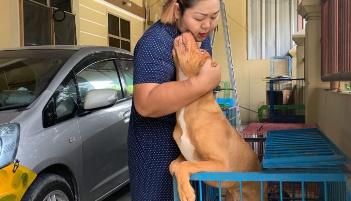 Mau Mudik Titipkan Hewan di Pet Care Rumahan, Anabulmu Diurus Layaknya Keluarga Sendiri!