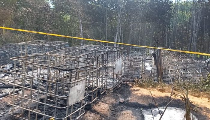 Penampungan Minyak Mentah di Blora Ludes Terbakar, Tenyata Sudah 10 Tahun Dikelola Masyarakat