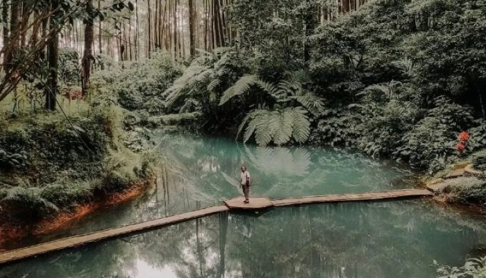 Ada yang Gratis! Ini Tujuh Wisata Alam di Tegal selain Guci, Ramah Kantong dan Cocok untuk Healing