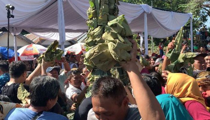Meriahkan Ritual Sesaji Rewanda, Ratusan Warga Berebut Sego Kethek