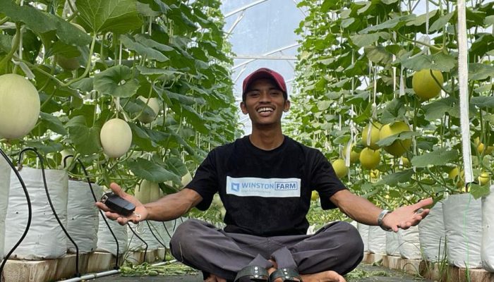 Adi Latif Mashudi Meninggalkan Gaji Puluhan Juta di Korea Demi Bertanam Melon