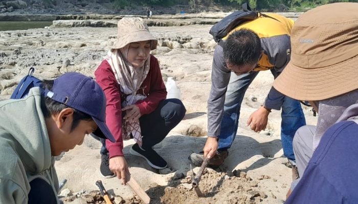 Heboh Penemuan Gading Gajah Purba di Blora, Ahli Cagar Budaya: Perkiraan Berusia Ratusan Ribu Tahun