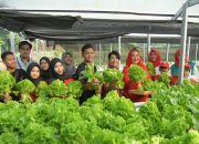 Walikota Semarang Ajak Anak-anak Muda Jadi Agen Ketahanan Pangan