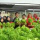 Walikota Semarang Ajak Anak-anak Muda Jadi Agen Ketahanan Pangan