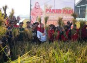 Balai Benih Pertanian Mijen Bakal Dikembangkan Jadi Destinasi Agrowisata Lengkap dengan Museum