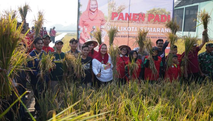 Balai Benih Pertanian Mijen Bakal Dikembangkan Jadi Destinasi Agrowisata Lengkap dengan Museum