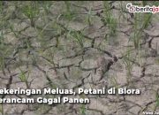 kekeringan di Blora