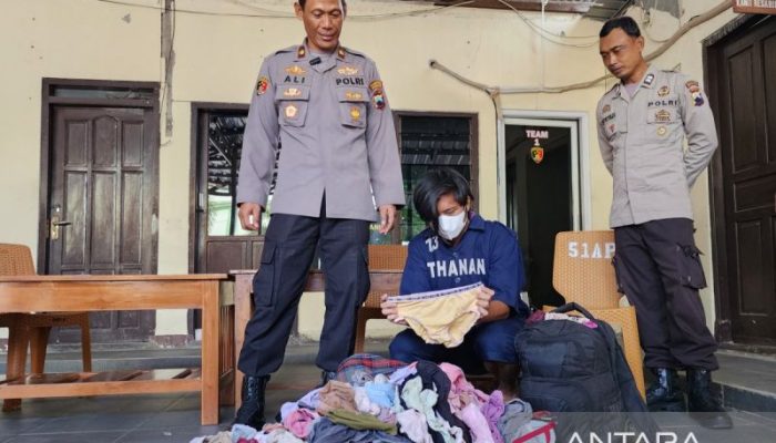 Penjual Siomay di Semarang Curi 675 Celana Dalam Wanita untuk Lampiaskan Hasrat Seksual, Kadang Dipakai Berjualan