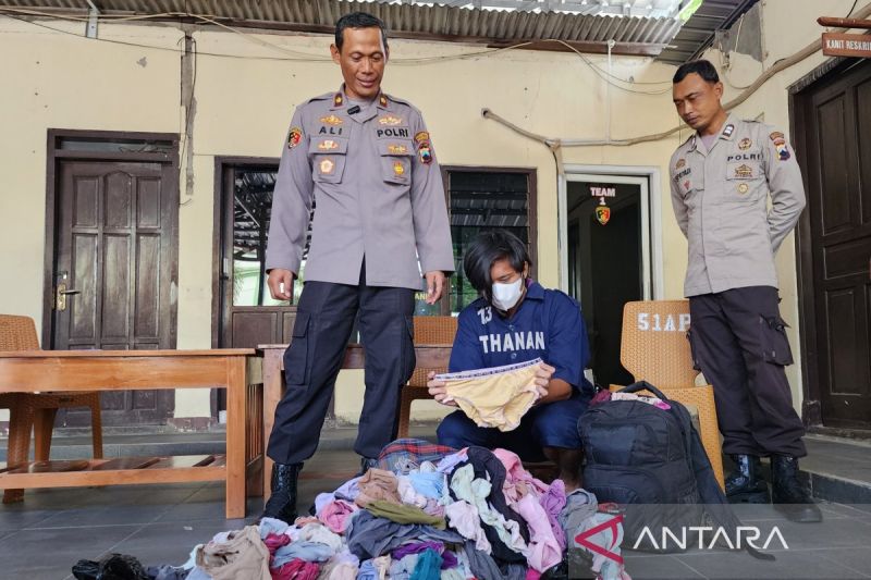 curi celana dalam semarang