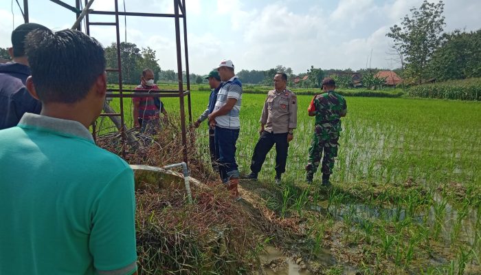 Gempar! Kepala Desa Blora Ditemukan Tewas di Sawah, Polisi Ungkap Penyebabnya