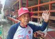 Peternak Kambing di Blora Laris Manis Jelang Idul Adha, Cuan Meroket dalam Waktu 3 Minggu!