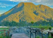 Hutan Desa Kragon Ngablak Magelang, Rekomendasi Wisata Murah dengan View Alam Paling Estetik 2024