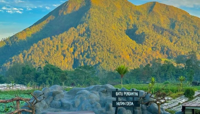 Hutan Desa Kragon Ngablak Magelang, Rekomendasi Wisata Murah dengan View Alam Paling Estetik 2024