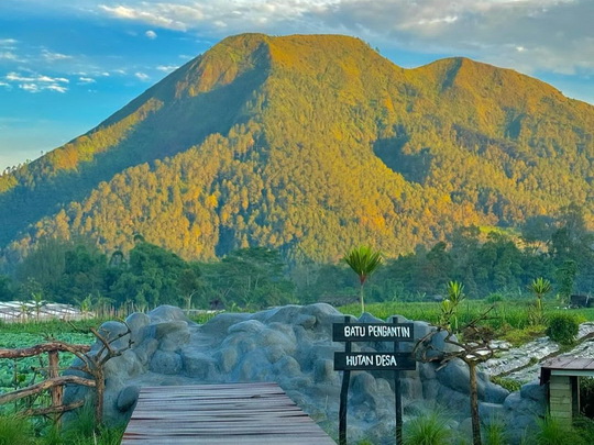 Hutan Desa Kragon Ngablak Magelang