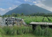 Suguhkan Panorama Lima Gunung yang Indah, Berikut Daya Tarik Wisata Hutan Desa Kragon Ngablak Magelang