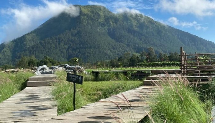 Wisata Hutan Desa Kragon Ngablak Magelang: Daya Tarik, Harga Tiket Hingga Jam Buka