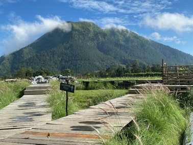 Hutan Desa Kragon Ngablak Magelang